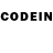 Псилоцибиновые грибы GOLDEN TEACHER Nadezhda Gaiduk
