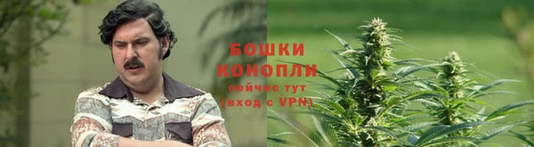 apvp Армянск