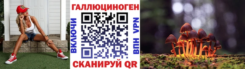 Псилоцибиновые грибы GOLDEN TEACHER  Купить где  Багратионовск 
